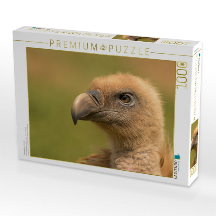 Gänsegeier im Porträt - CALVENDO Foto-Puzzle'
