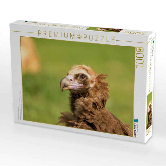 Mönchsgeier im Porträt - CALVENDO Foto-Puzzle'