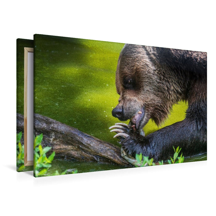 Premium Textil-Leinwand Fressaktion