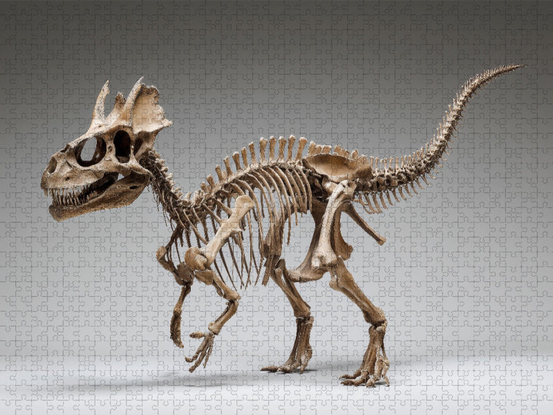 Pachycephalosaurus-Skelett mit Kuppelschädel seitlich - CALVENDO Foto-Puzzle'