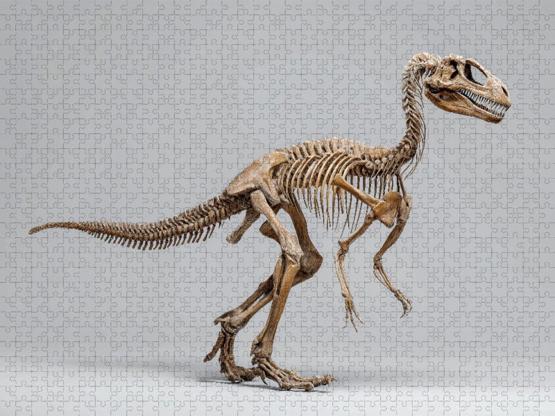 Deinonychus-Skelett - Raubsaurier mit Kletterkrallen - CALVENDO Foto-Puzzle'