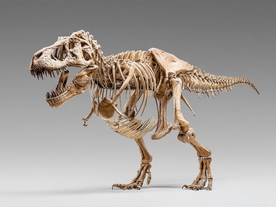 Dinosaurier Tyrannosaurus Rex - König der Jäger - CALVENDO Foto-Puzzle'