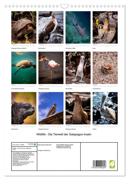 Wildlife - The wildlife of the Galapagos Islands (CALVENDO Monthly Calendar 2026)