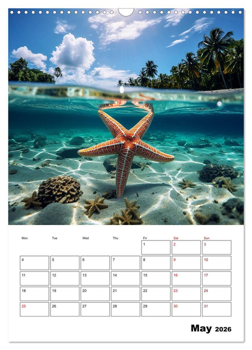 Turquoise pleasure (CALVENDO Monthly Calendar 2026)