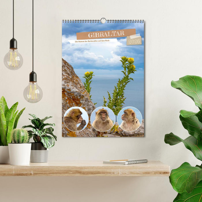 Gibraltar - Home of the Barbary apes on the Rock (CALVENDO Monthly Calendar 2026)
