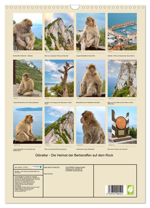Gibraltar - Home of the Barbary apes on the Rock (CALVENDO Monthly Calendar 2026)