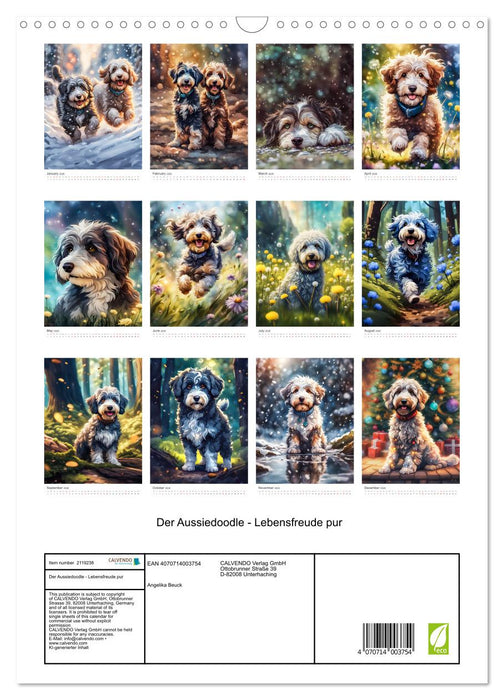 The Aussiedoodle - pure joie de vivre (CALVENDO Monthly Calendar 2026)