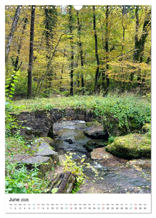 Our Schurwald (CALVENDO Monthly Calendar 2026)