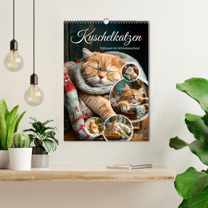 Cuddly cats - fur noses in slumberland (CALVENDO Monthly Calendar 2026)