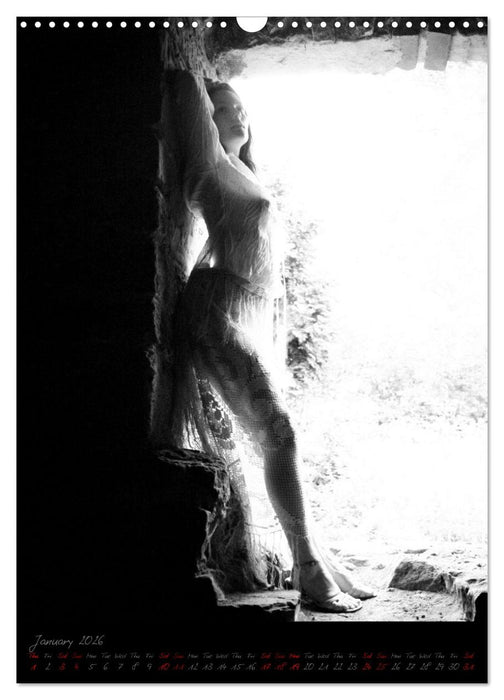 Sensual figure of light (CALVENDO Monthly Calendar 2026)