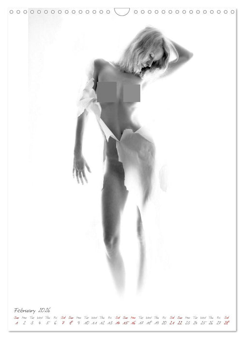 Sensual figure of light (CALVENDO Monthly Calendar 2026)