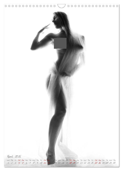 Sensual figure of light (CALVENDO Monthly Calendar 2026)