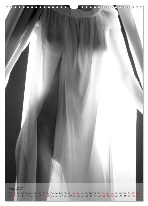 Sensual figure of light (CALVENDO Monthly Calendar 2026)