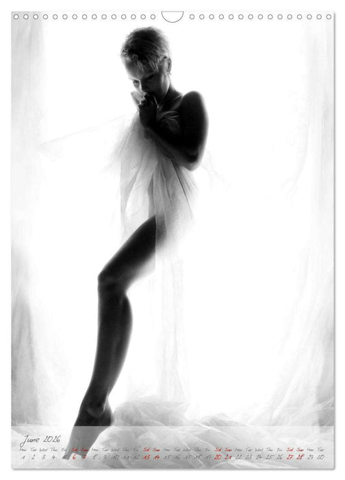Sensual figure of light (CALVENDO Monthly Calendar 2026)