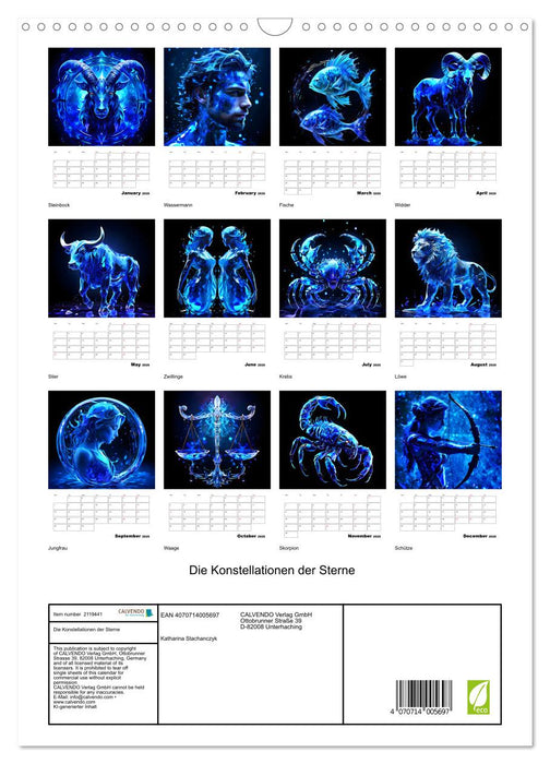 The constellations of the stars (CALVENDO Monthly Calendar 2026)