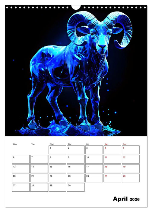 The constellations of the stars (CALVENDO Monthly Calendar 2026)