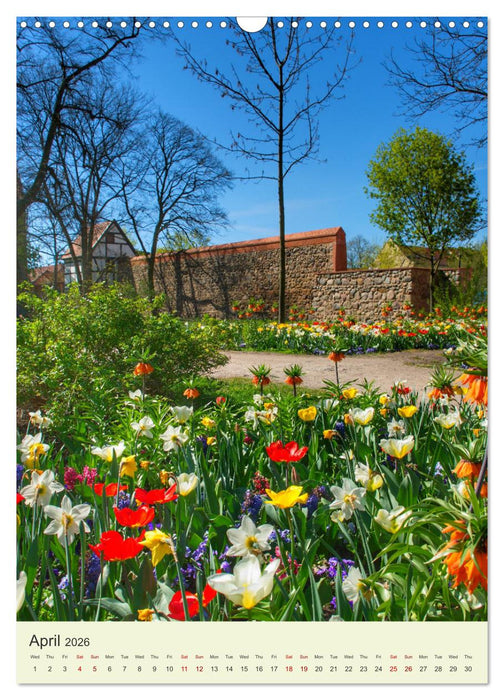 MECKLENBURG-VORPOMMERN. You are so beautiful (CALVENDO Monthly Calendar 2026)