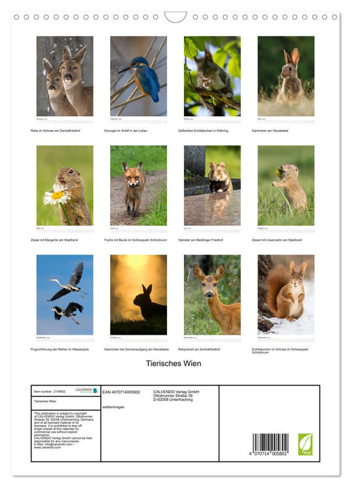 Animal Vienna (CALVENDO Monthly Calendar 2026)