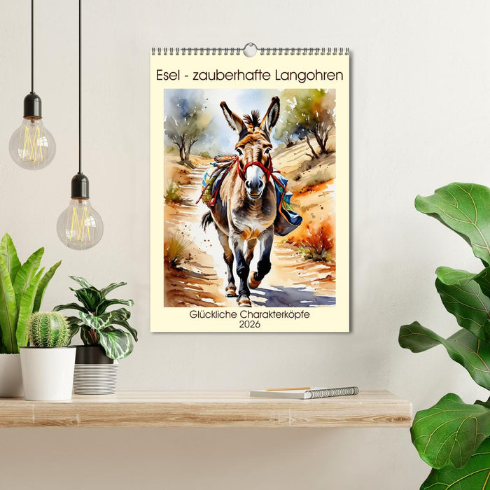 Donkeys - magical long ears (CALVENDO Monthly Calendar 2026)