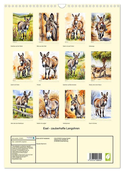 Donkeys - magical long ears (CALVENDO Monthly Calendar 2026)