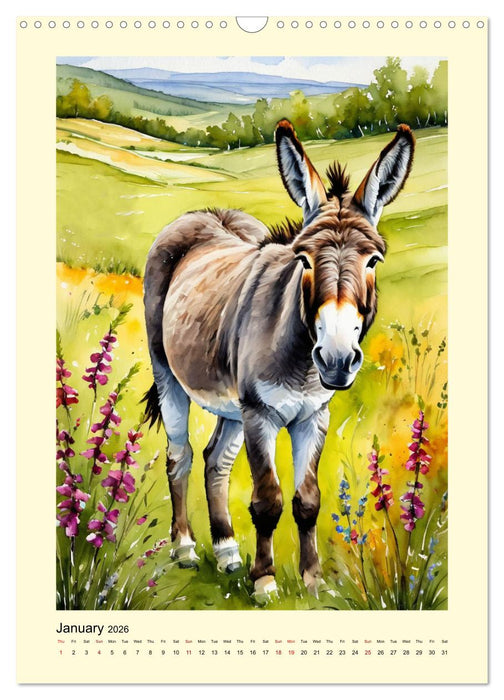 Donkeys - magical long ears (CALVENDO Monthly Calendar 2026)