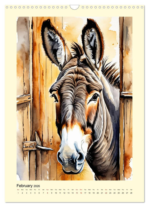 Donkeys - magical long ears (CALVENDO Monthly Calendar 2026)