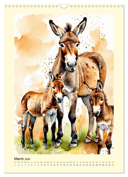 Donkeys - magical long ears (CALVENDO Monthly Calendar 2026)