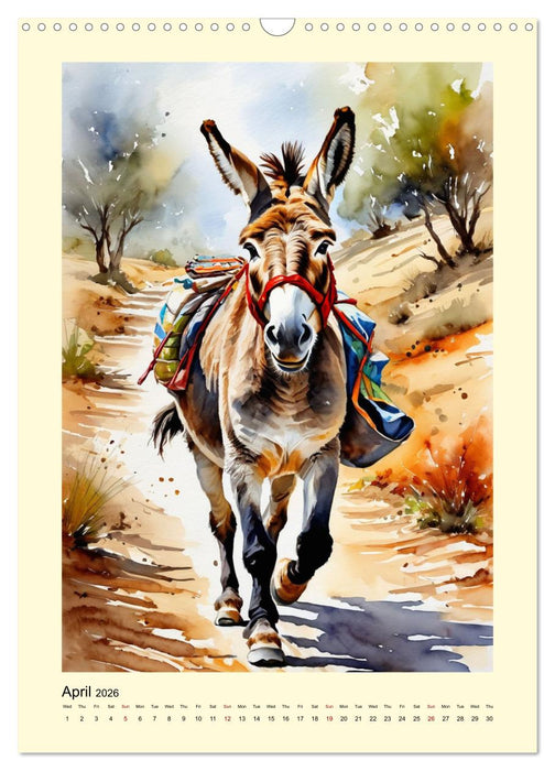 Donkeys - magical long ears (CALVENDO Monthly Calendar 2026)