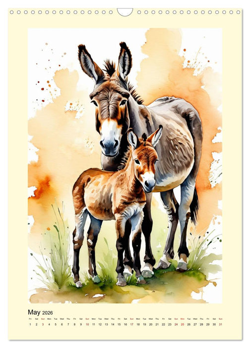 Donkeys - magical long ears (CALVENDO Monthly Calendar 2026)