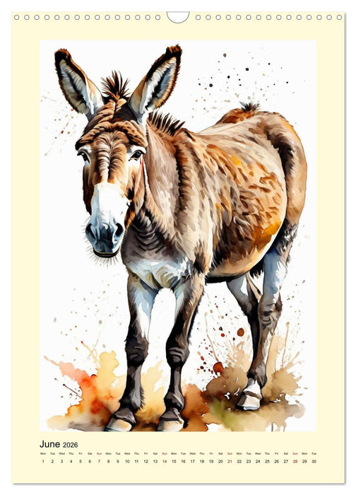 Donkeys - magical long ears (CALVENDO Monthly Calendar 2026)