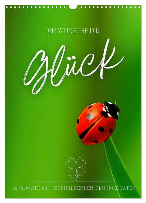 I WISH YOU HAPPINESS - 12 months of inspirational happiness quotes (CALVENDO Monthly Calendar 2026)