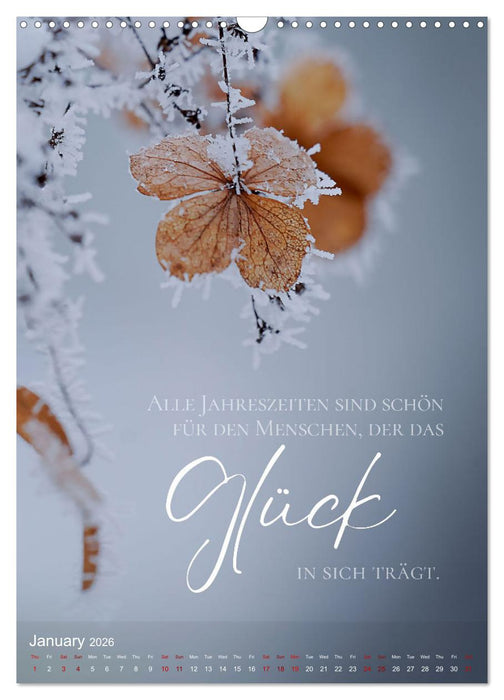 I WISH YOU HAPPINESS - 12 months of inspirational happiness quotes (CALVENDO Monthly Calendar 2026)