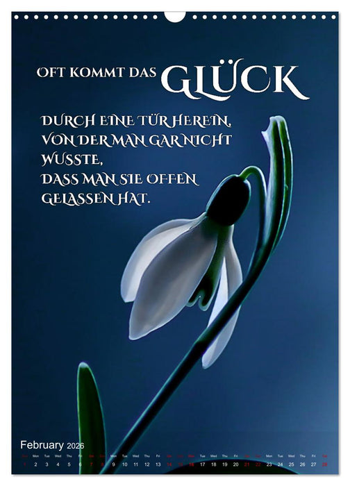 I WISH YOU HAPPINESS - 12 months of inspirational happiness quotes (CALVENDO Monthly Calendar 2026)