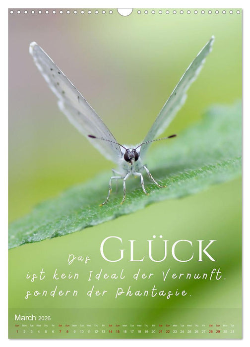 I WISH YOU HAPPINESS - 12 months of inspirational happiness quotes (CALVENDO Monthly Calendar 2026)