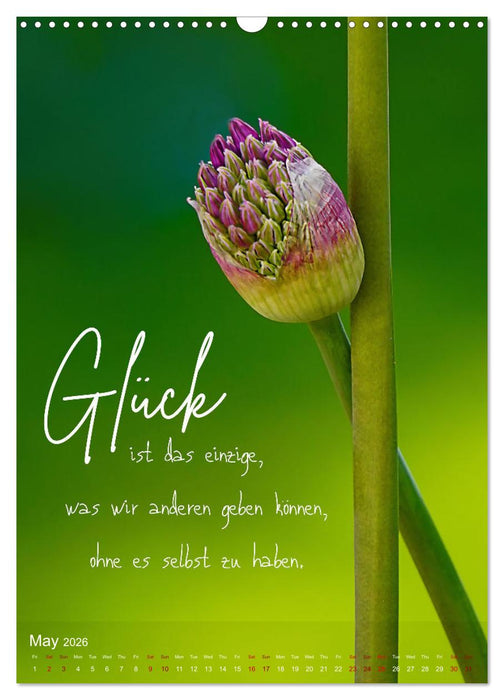 I WISH YOU HAPPINESS - 12 months of inspirational happiness quotes (CALVENDO Monthly Calendar 2026)