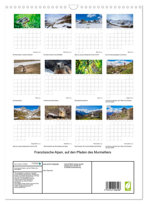 French Alps, on the trails of the marmot (CALVENDO Monthly Calendar 2026)