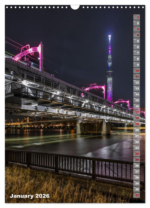 THE MAGIC OF JAPAN Fascinating impressions (CALVENDO Monthly Calendar 2026)