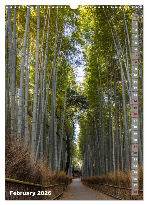 THE MAGIC OF JAPAN Fascinating impressions (CALVENDO Monthly Calendar 2026)