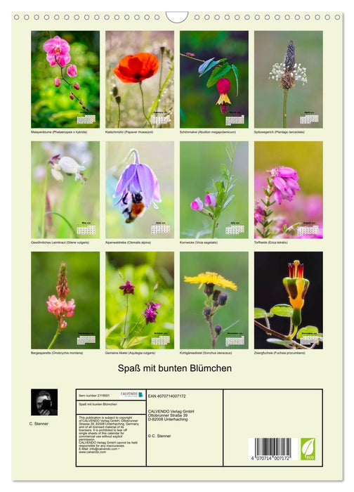 Fun with colorful flowers (CALVENDO Monthly Calendar 2026)