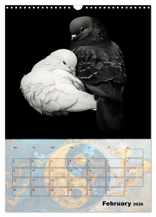 Be the yin to my yang (CALVENDO Monthly Calendar 2026)
