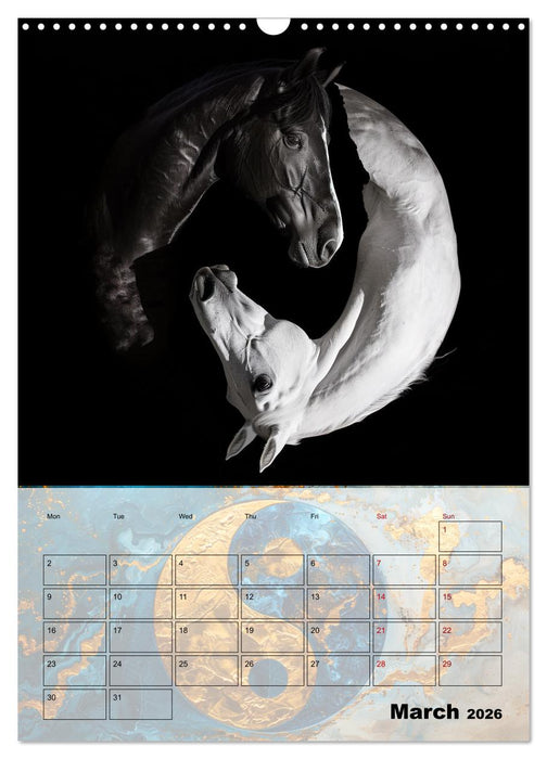 Be the yin to my yang (CALVENDO Monthly Calendar 2026)