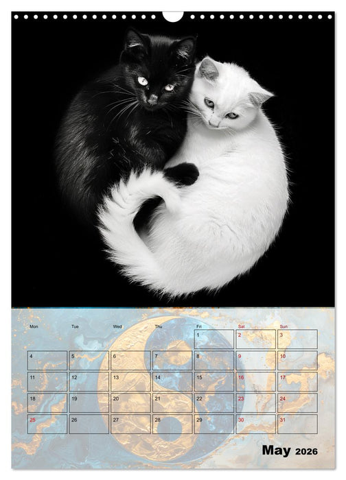 Be the yin to my yang (CALVENDO Monthly Calendar 2026)