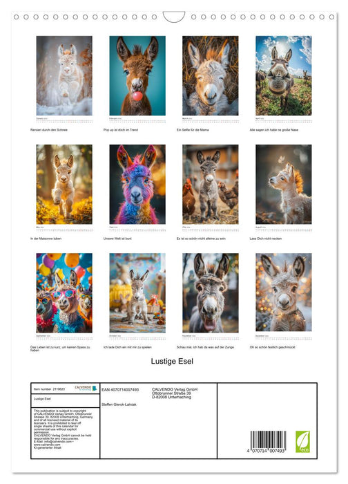 Funny donkeys (CALVENDO Monthly Calendar 2026)