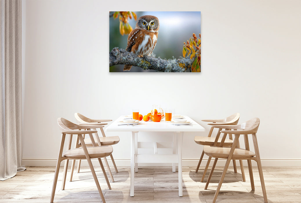 Premium Textil-Leinwand Der Waldkauz in seinem Revier