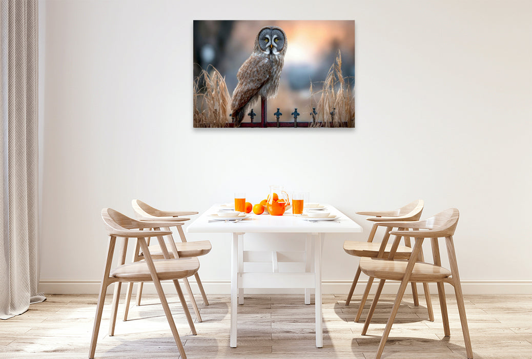 Premium Textil-Leinwand Ein Bartkauz auf einem Zaun