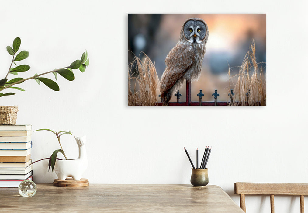 Premium Textil-Leinwand Ein Bartkauz auf einem Zaun