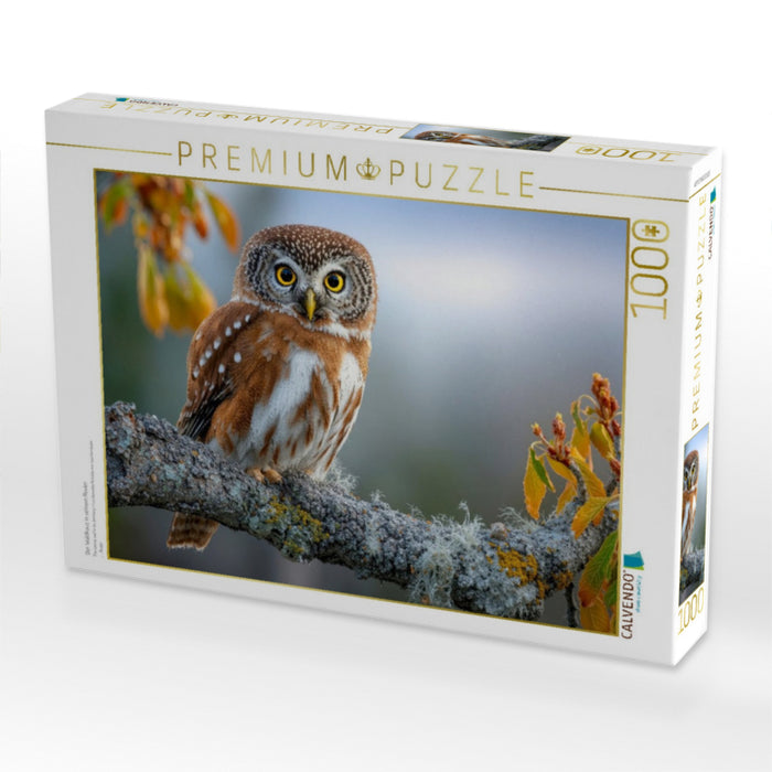 Der Waldkauz in seinem Revier - CALVENDO Foto-Puzzle'