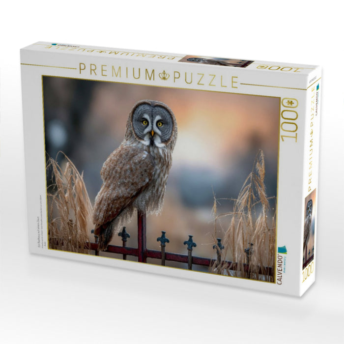 Ein Bartkauz auf einem Zaun - CALVENDO Foto-Puzzle'