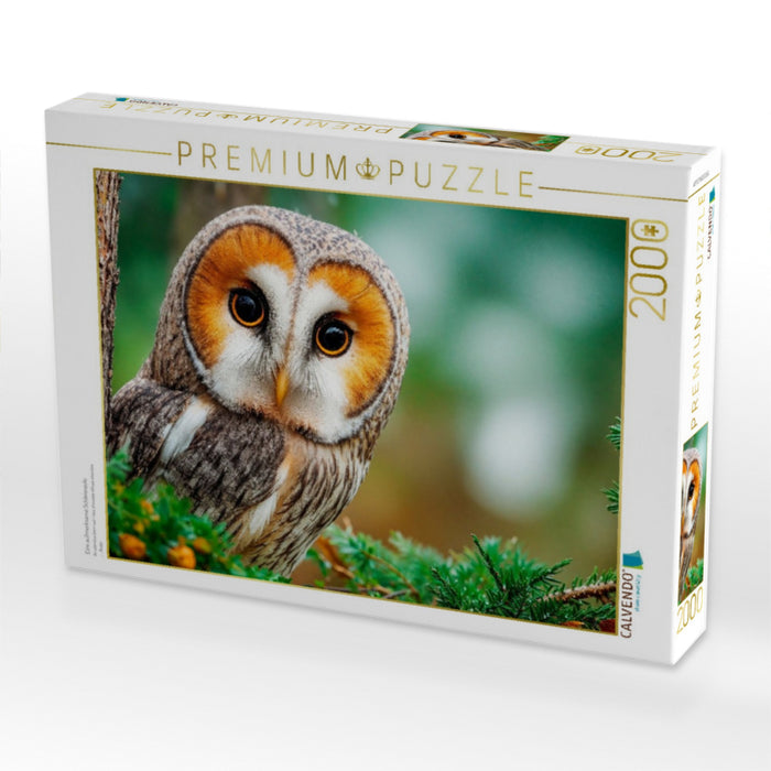 Eine aufmerksame Schleiereule - CALVENDO Foto-Puzzle'