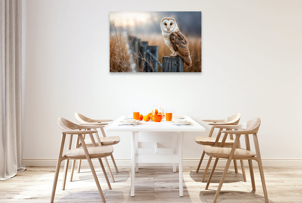 Premium Textil-Leinwand Die Schleiereule, lautlos und anmutig